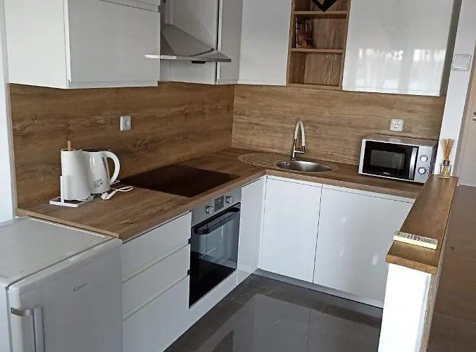 Beetlejuice 시베니크