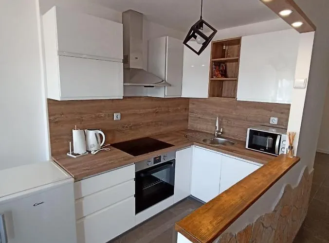 Beetlejuice 아파트 시베니크